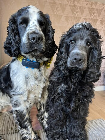 Ashley con su hermana (Facebook