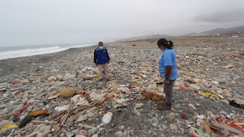 Más de 400 mil kilos