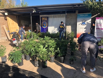 El operativo en la casa.