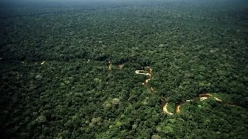 Una vista aérea muestra la