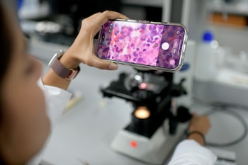 La prevención de la leishmaniasis depende del control del flebótomo y del uso de repelentes, collares y controles veterinarios. Cortesía: UCR