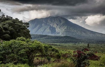 Refugio vital para la biodiversidad