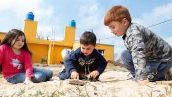 Luego de tres años en