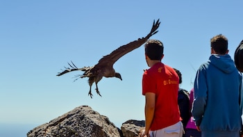 Quebrada de Los Cóndores en