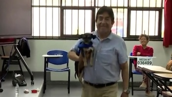 Ciudadano va con su mascota a votar y se queda con ella como miembro de mesa por falta de titulares: “Falta el deber cívico”