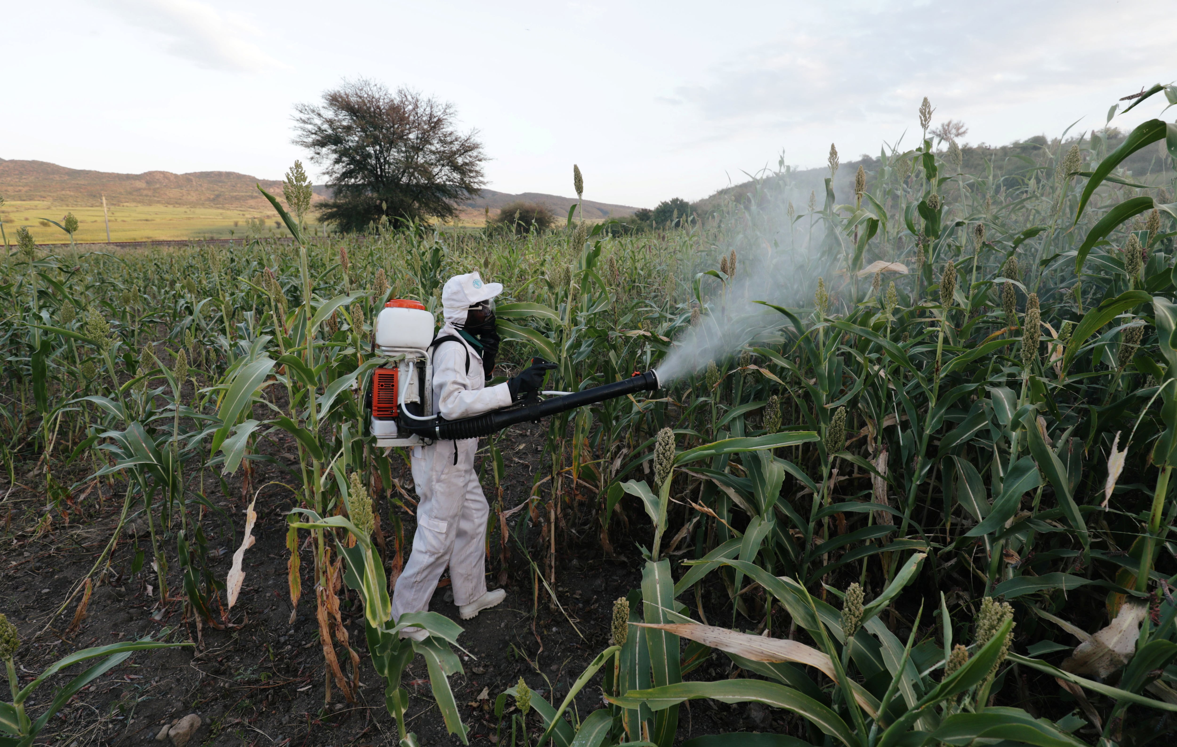 Lee Zeldin incluyó en abril de 2026 a los microplásticos entre los contaminantes que podían regularse, pero la EPA los excluyó en junio del monitoreo obligatorio del agua potable (REUTERS/Tiksa Negeri)