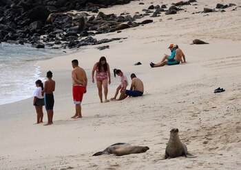Las playas son uno de