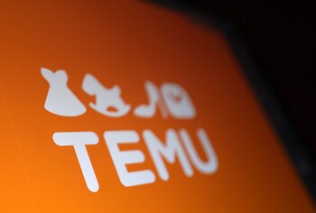 Temu logo is seen in