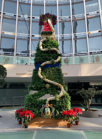 Lílly Téllez critica árbol de