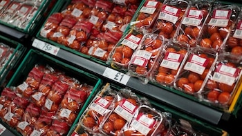 Marruecos arrebata a España el primer puesto de exportador de tomate a la UE: el campo denuncia la falta de datos y la competencia desleal