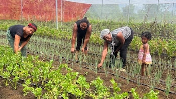 De sembrar para sobrevivir a alimentar a toda una comunidad rural en República Dominicana