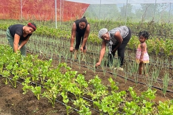 El proyecto de la FAO, Supérate y el Ministerio de Agricultura fortaleció a las mujeres rurales de María Ruiz con formación, tecnología y acompañamiento técnico. (Foto cortesía FAO)