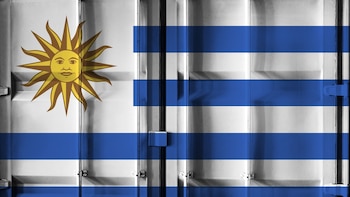 Exportaciones de Uruguay: julio cerró con 1.219 millones de dólares y una suba del 4%
