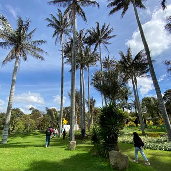 Trujillo se presenta como un