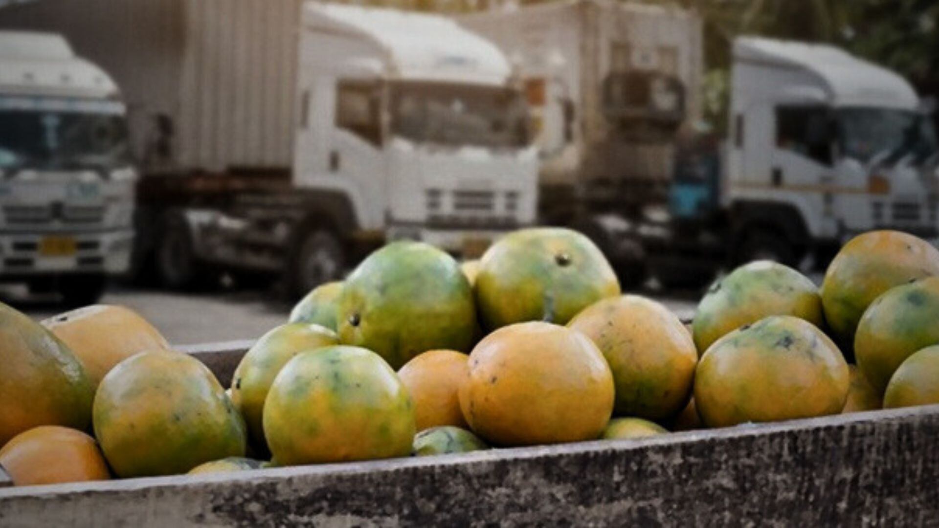 La informalidad y la falta de tecnología avanzadas dificultan la competitividad de las empresas formales en el transporte terrestre.