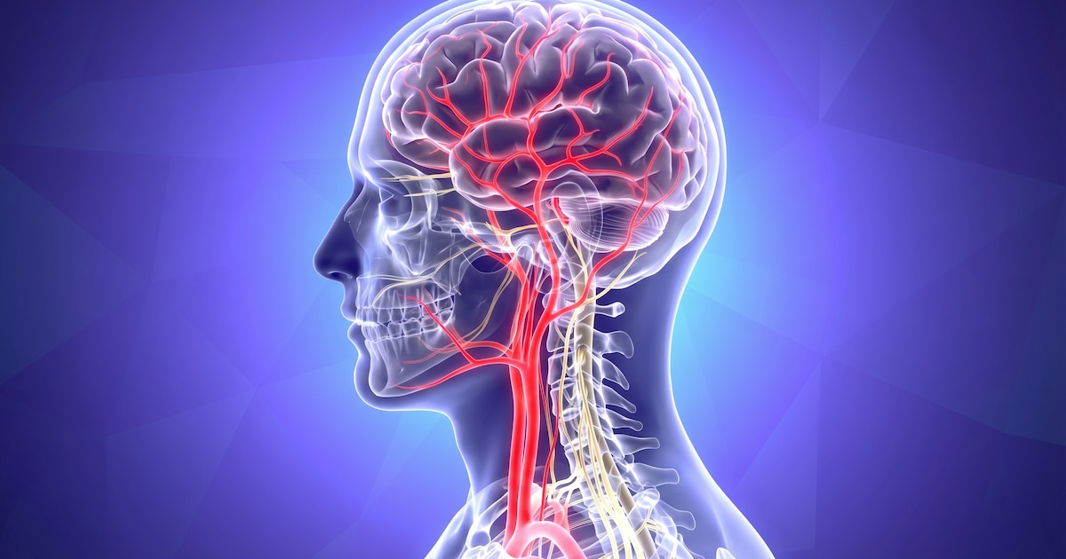 Descubren células protectoras en el cerebro que podrían frenar el avance del Alzheimer