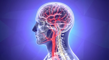 Imagen 3D de una cabeza y cuello humanos translúcidos en perfil, mostrando el cerebro, cráneo, columna cervical, arterias rojas y nervios amarillos. El fondo es azul con gradientes.