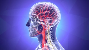 Por qué algunas lesiones medulares afectan el equilibrio incluso al caminar