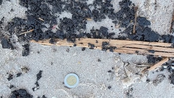 El hallazgo de una materia negra y viscosa en el litoral septentrional activó pesquisas después de que los análisis confirmaran su procedencia de hidrocarburos (Centro de Seguridad del Gobierno)