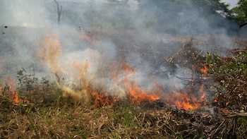 Alerta por afectación de páramos
