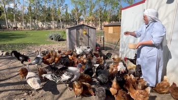 La respuesta de la gente