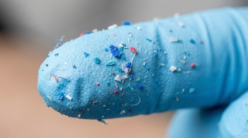 Detalle de un dedo cubierto por un guante de látex celeste, mostrando microplásticos de colores variados y algunas fibras blancas adheridas a la superficie.