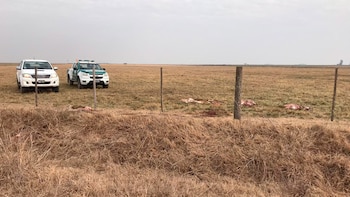 Preocupación en la producción agropecuario