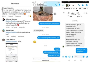 Más imágenes de familias que