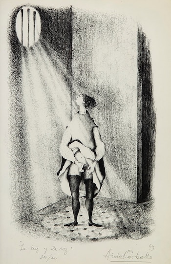 Serie los locos de Aida Carballo (1)