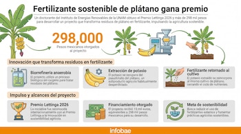 Infografía con título, texto y cifras sobre fertilizante de plátano; incluye ilustraciones de planta de plátano, reactor, máquina, mano plantando, trofeo, dinero.