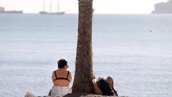 El año 2025 será uno