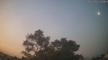 Testigos presenciales reportaron haber avistado