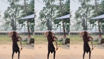 Un hombre exhuma el cuerpo de su hermana y lleva los restos al banco como prueba de defunción: necesitaba un documento para sacar dinero de la cuenta