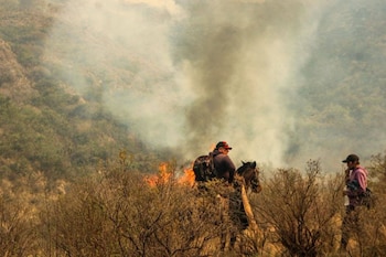 El sector sur del incendio fue catalogado como el más complejo de contener