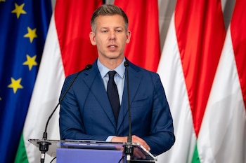 Imagen ZDTAOQNW7JE7RO74HM7WWUUNVU