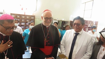 La agenda del cardenal Michael