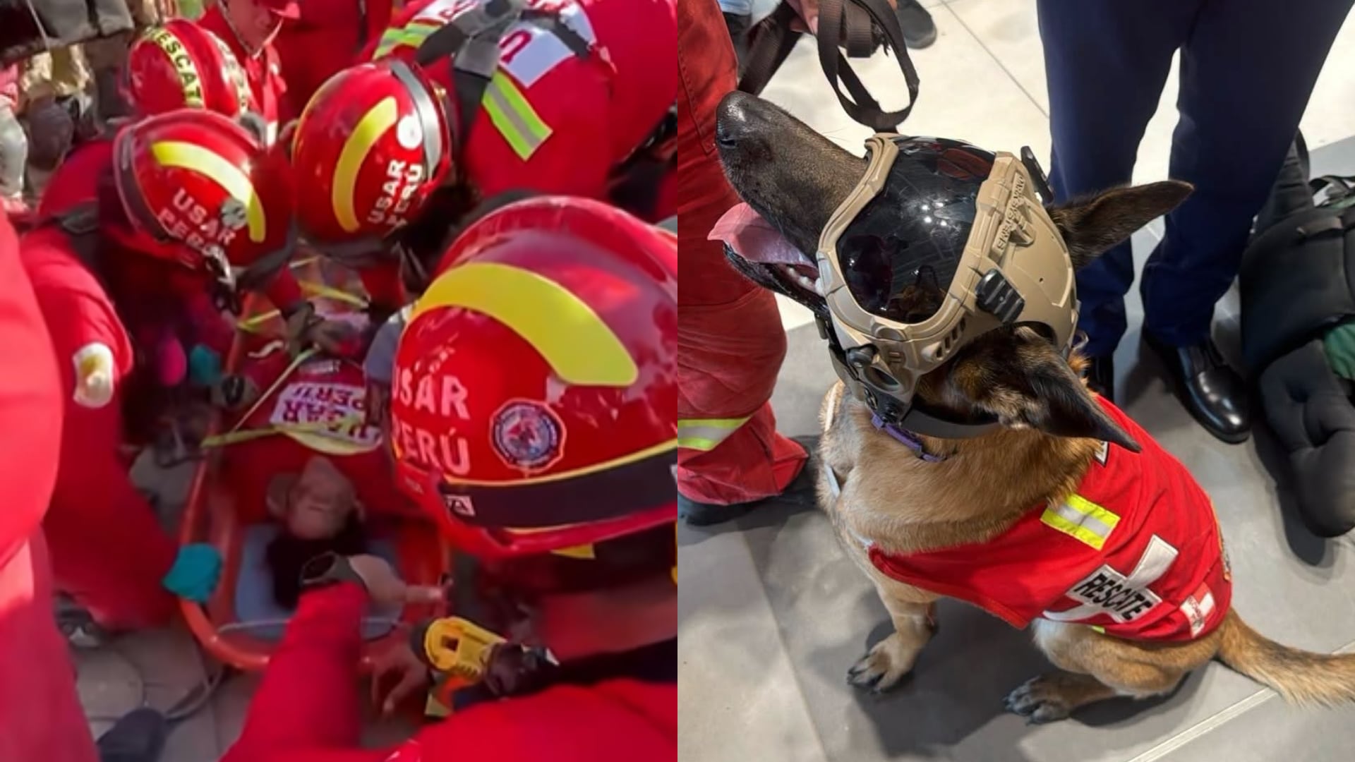 Efectivos del equipo USAR Perú realizan labores de rescate en La Guaira, Venezuela, junto a su unidad canina tras los terremotos.