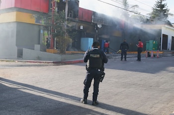 Morelos Reacciones