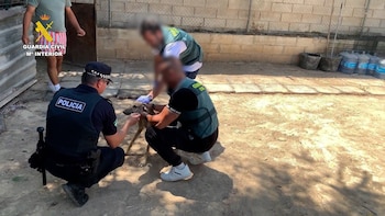 Detenidas cuatro personas acusadas de robar ocho galgos de competición y maltratar a dos de ellos