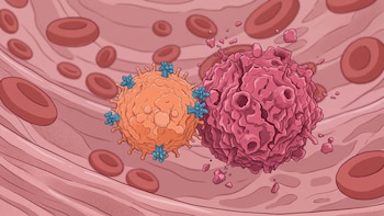 Científicos del MIT crearon una nanopartícula que podría entrenar a las defensas del organismo para enfrentar el cáncer