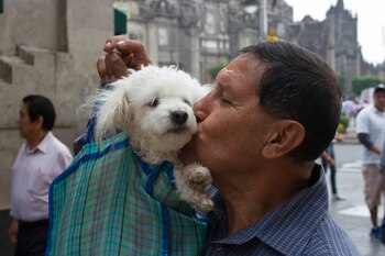 CIUDAD DE MÉXICO, 29MAYO2017.- Un