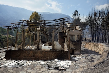 Zonas quemadas en los alrededores de el embalse de El Burguillo por el incendio que se originó en Burgohondo (Ávila). (EFE/Raúl Sanchidrián)