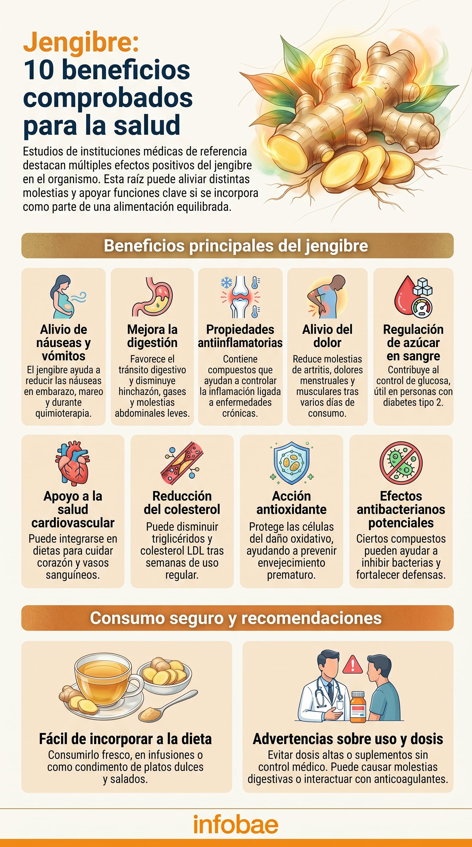 El jengibre alivia las náuseas y los vómitos, incluso en casos de embarazo y tratamientos como la quimioterapia, según evidencia científica (Imagen Ilustrativa Infobae)