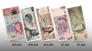 Estos son los ejemplares con