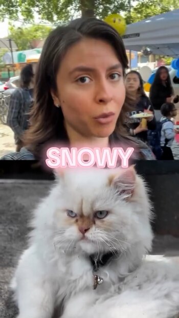 Un video captó a un