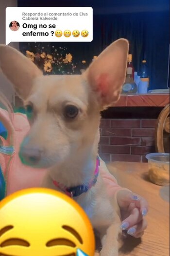 La dueña dijo que luna