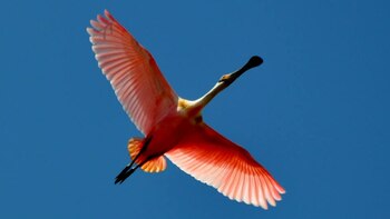 Santuario de Fauna y Flora