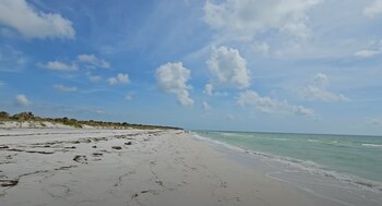 Solo accesible por bote, Caladesi