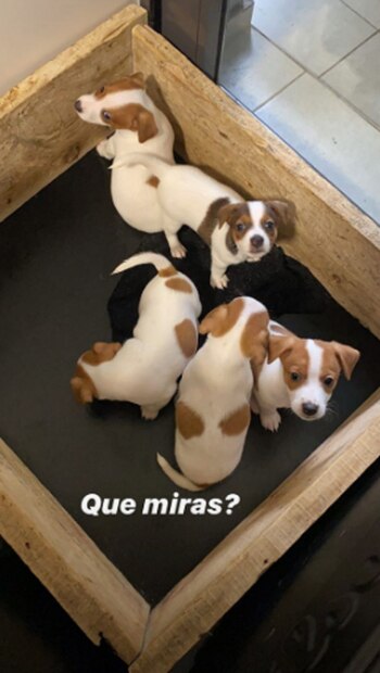 La pareja pasa la cuarentena