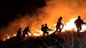 Ayacucho, Huancavelica, Cusco, Pasco y San Martín registran nuevos incendios forestales, mientras otros focos siguen activos